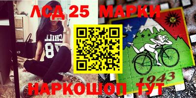 гашик Моздок
