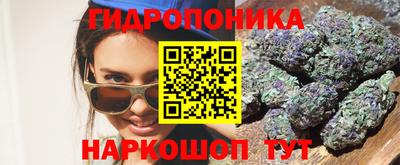 гашик Моздок