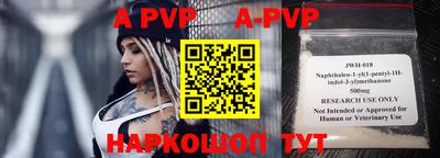 гашик Моздок