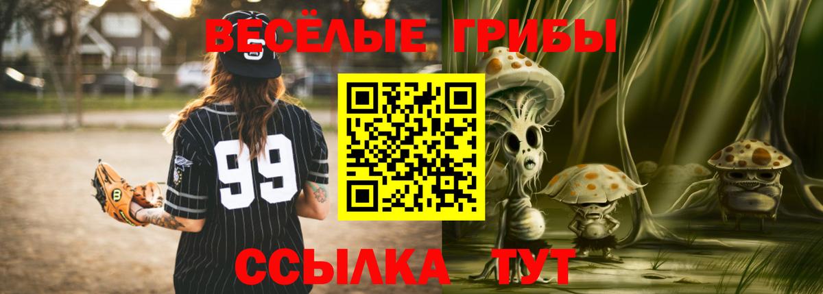 Галлюциногенные грибы GOLDEN TEACHER Губаха